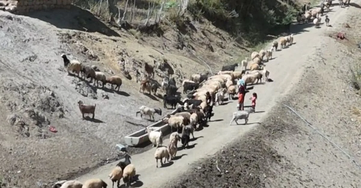 Su için her gün 3 kilometre
